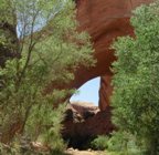 Coyote arch